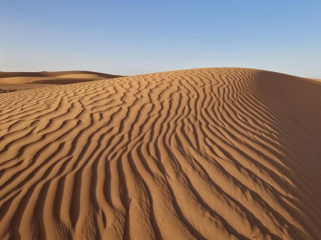Hotel Bivouac Camel Trips Merzouga Exterior foto