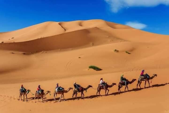 Hotel Bivouac Camel Trips Merzouga Exterior foto