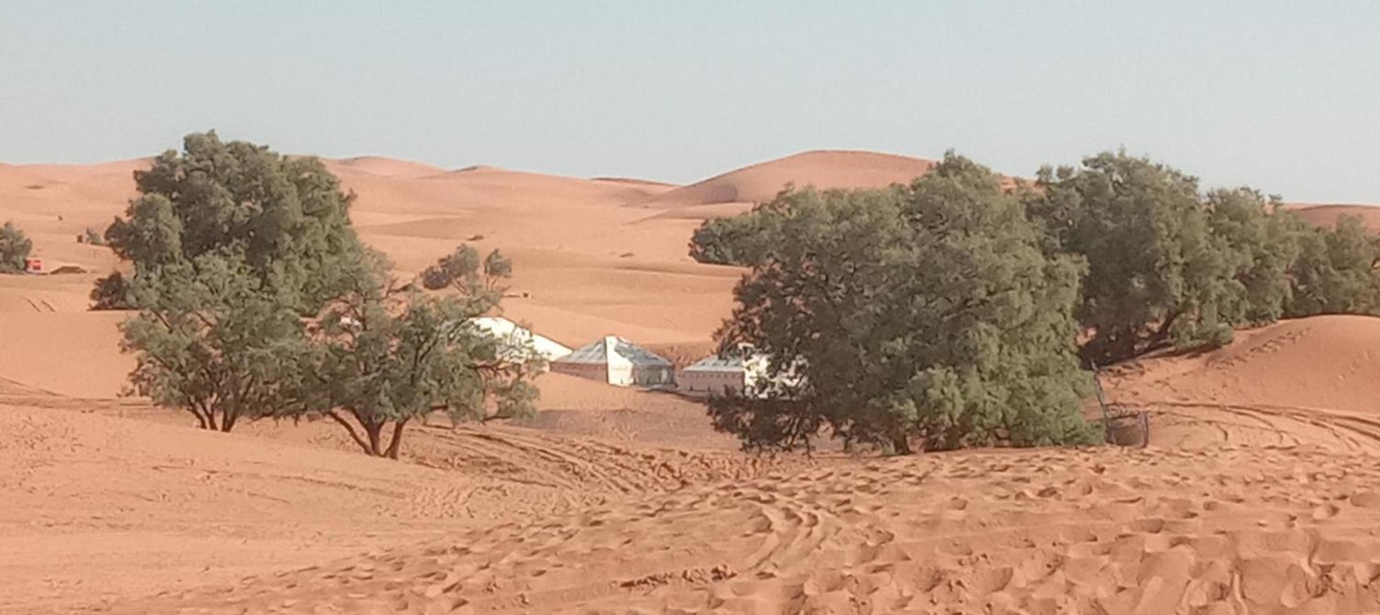 Hotel Bivouac Camel Trips Merzouga Exterior foto