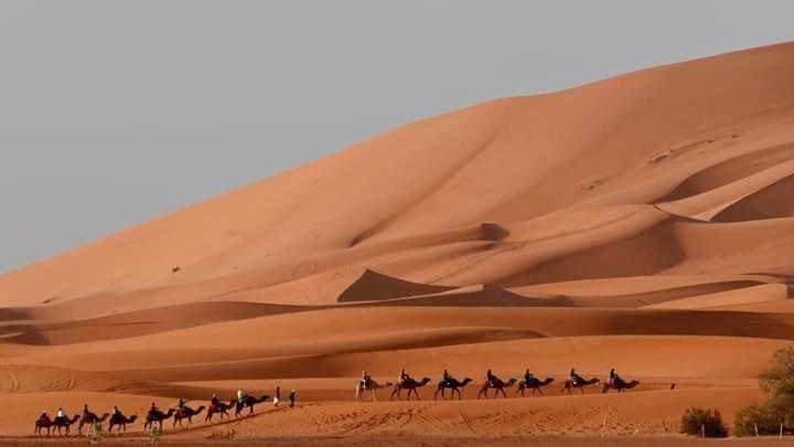 Hotel Bivouac Camel Trips Merzouga Exterior foto