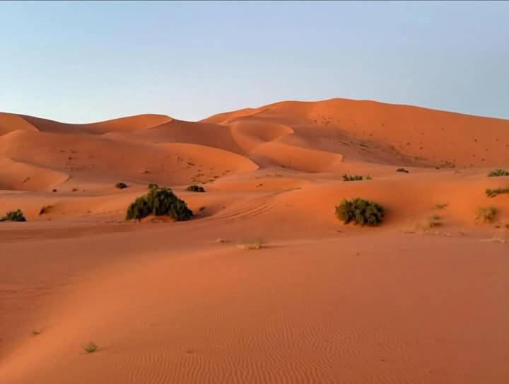 Hotel Bivouac Camel Trips Merzouga Exterior foto