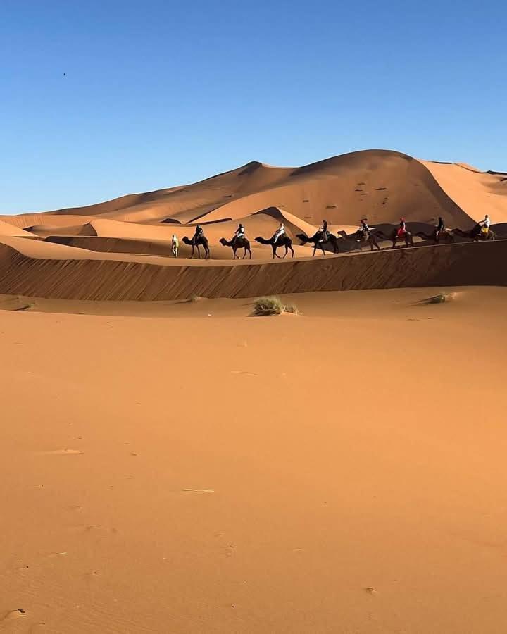 Hotel Bivouac Camel Trips Merzouga Exterior foto